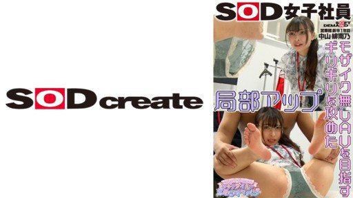 107SHYN-199 SOD female employee, aiming for the limit of mosaic, sexual harassment with vaginal thrusts and live changing, sales department, first year new graduate, Nakayama Hinan